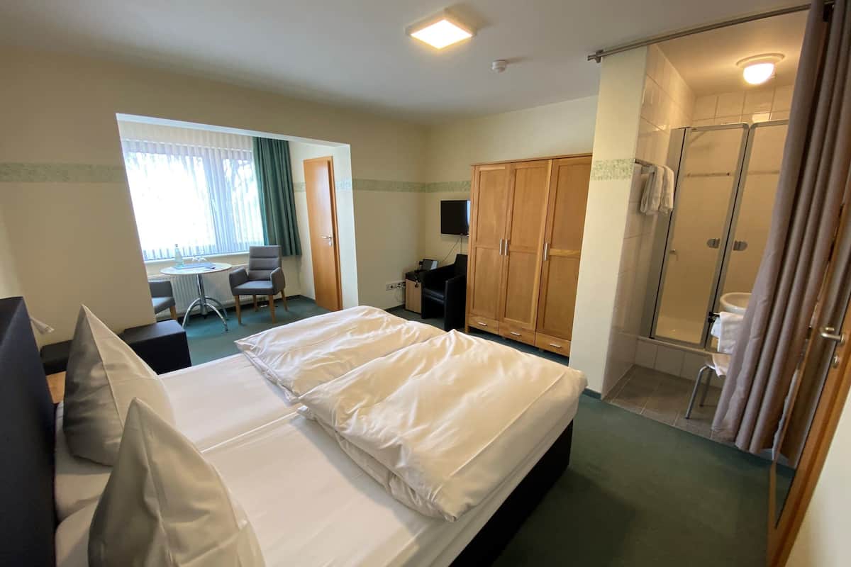 A hotel room with a bed, a desk, a chair, a wardrobe, and a shower area.