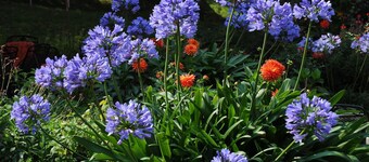 Hotel Restaurant Sonnenhof