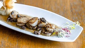 A plate of seared scallops with mushrooms and a garnish of microgreens on a white plate.