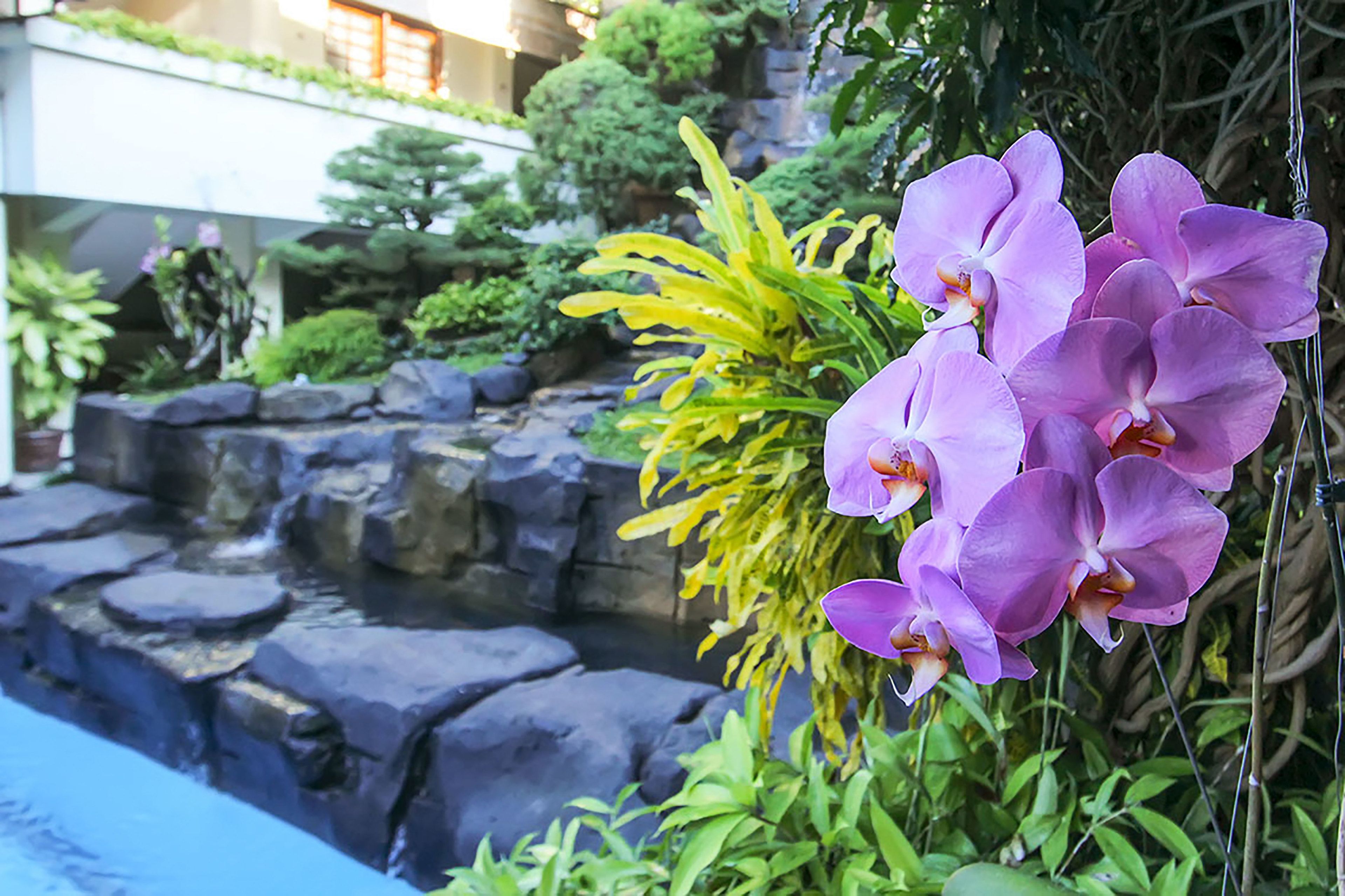 Foto - Duta Guest House