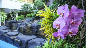 Jardim
