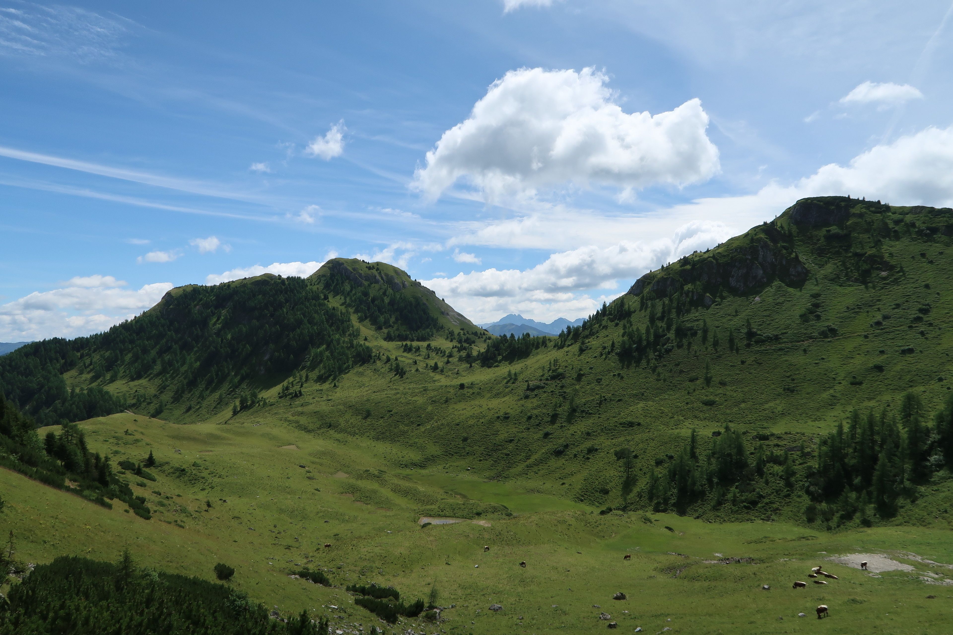 Ein weites Panorama über ein üppiges, grünes Tal mit sanften Hügeln und vereinzelten Bäumen.
