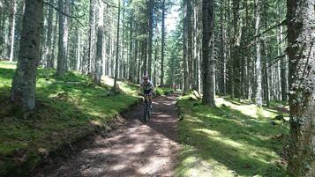 Trilha de mountain bike em área montanhosa, com árvores densas e caminho estreito.