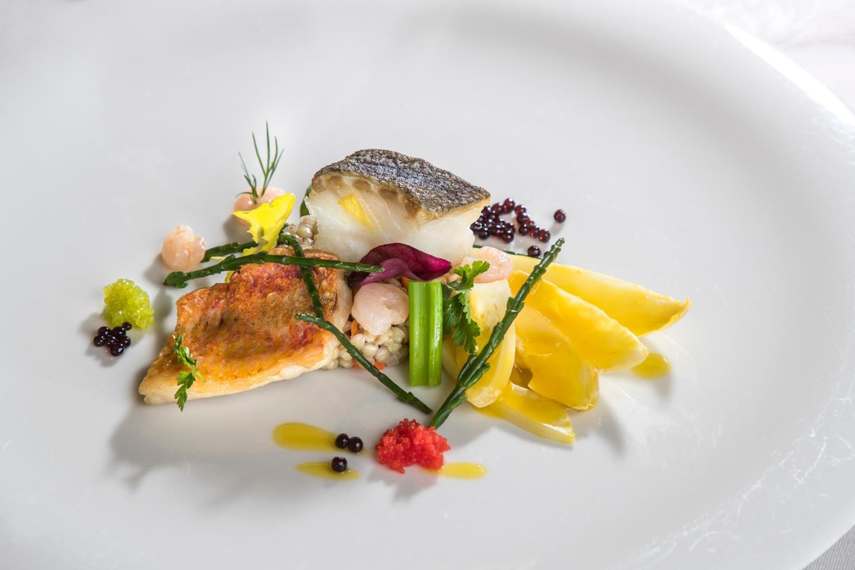 Ein weißer Teller mit einer Auswahl an Speisen, darunter Fisch, Gemüse und Garnituren.