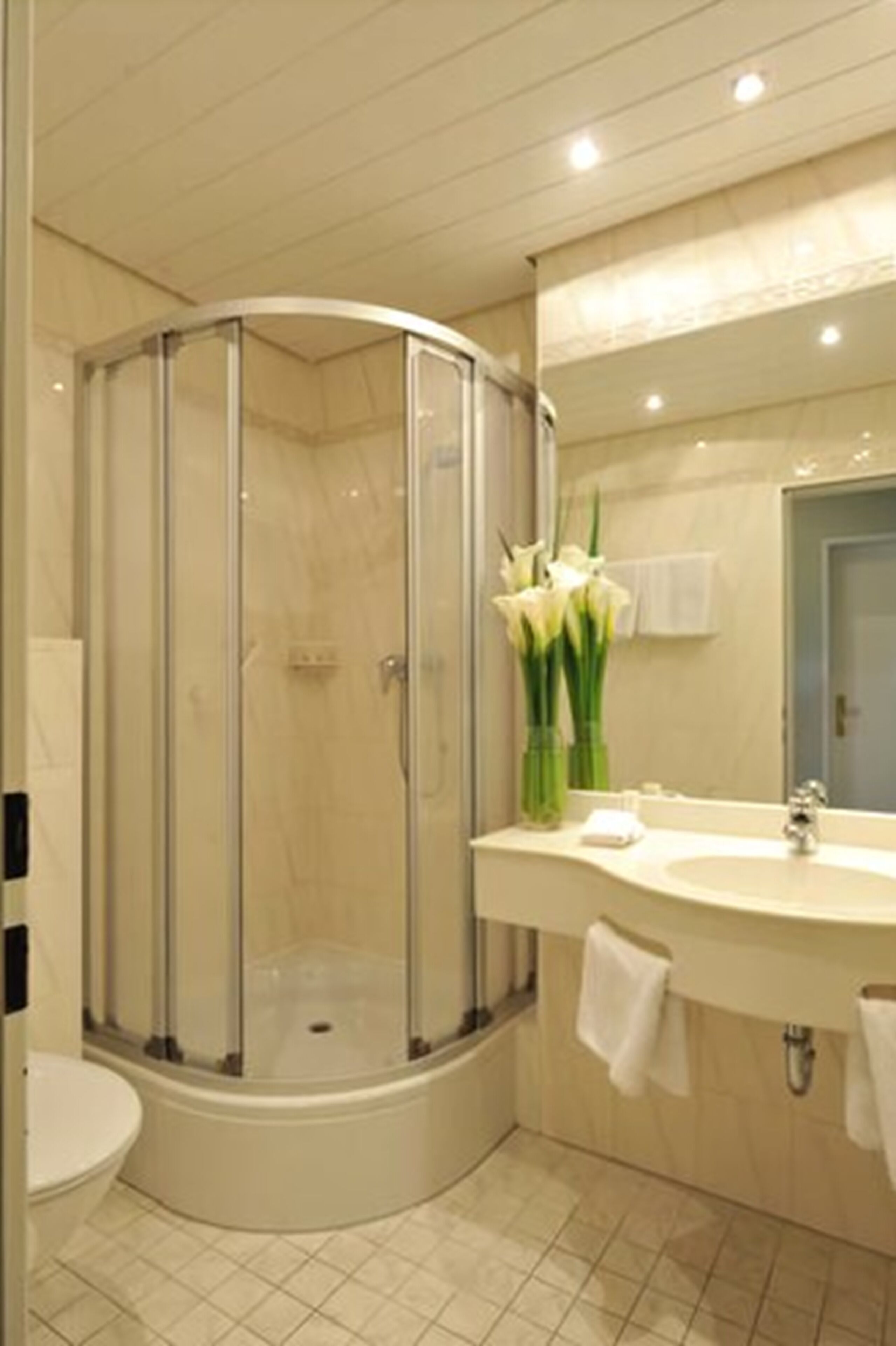 A modern bathroom with a glass-enclosed shower, a sink, and a toilet.