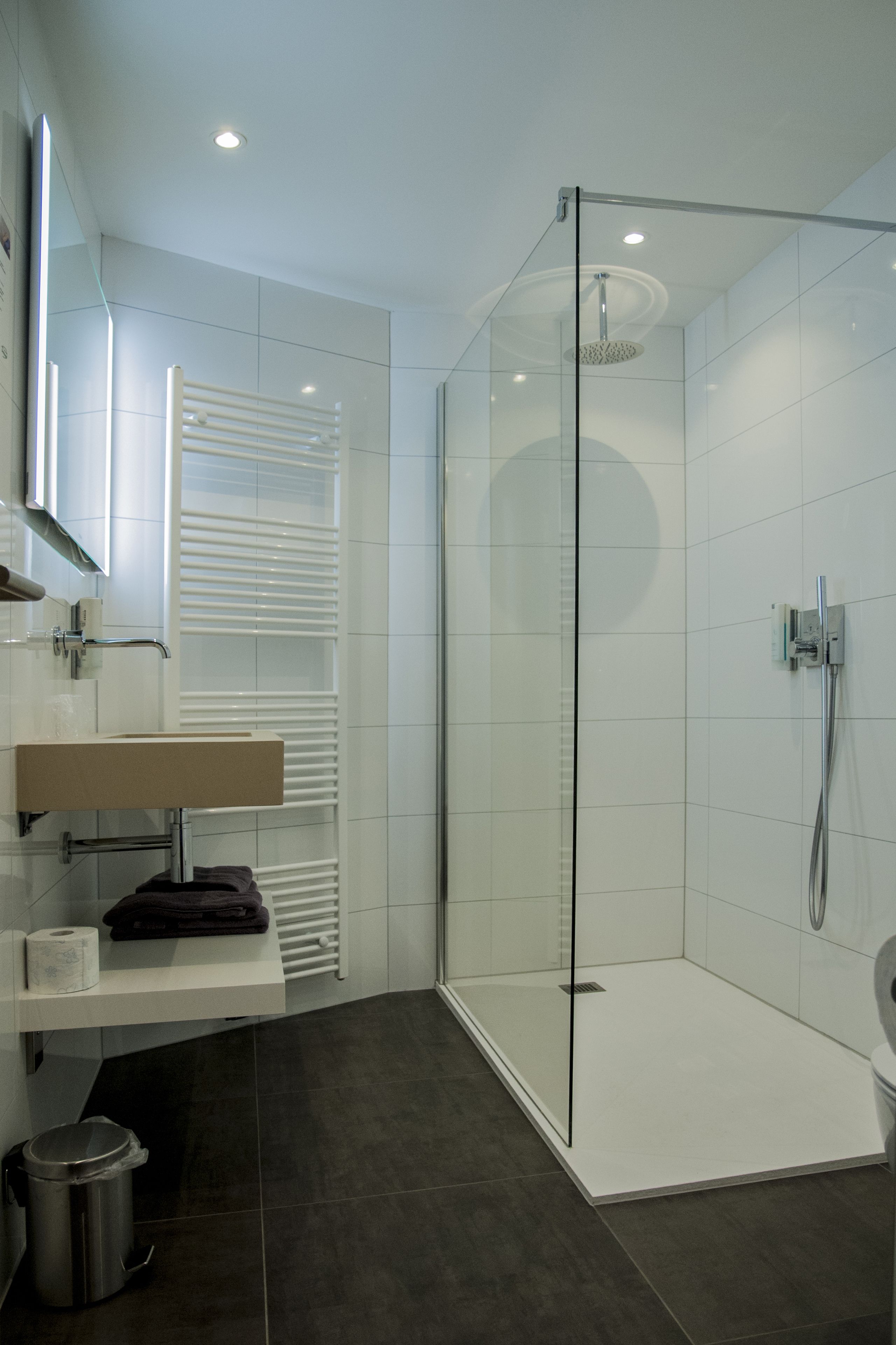 Une salle de bain moderne avec une douche à parois de verre, un lavabo blanc et un porte-serviettes.