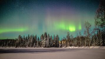 A snowy landscape with a clear night sky and visible aurora borealis.