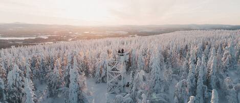 Un bosque cubierto de nieve con una torre de observación de madera.