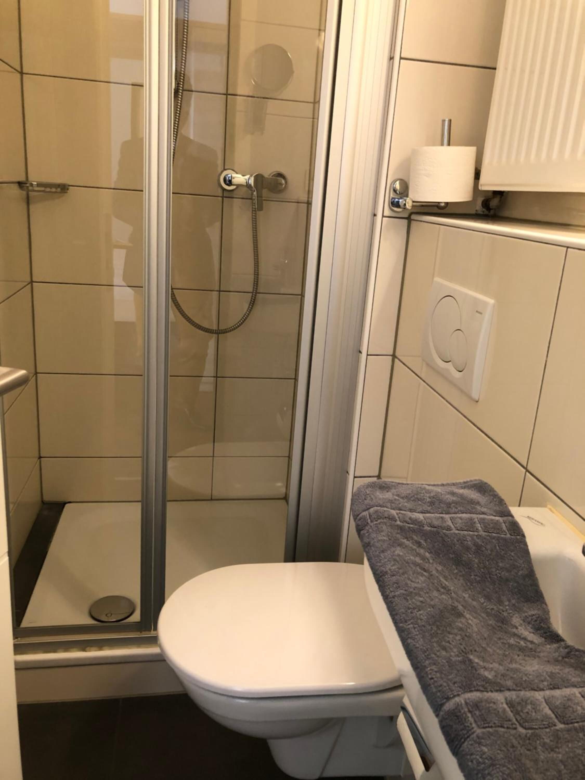 A bathroom with a glass-enclosed shower, a white toilet, and a towel rack with a grey towel.
