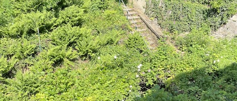 Kahden hengen standard-huone | Näkymä puutarhaan