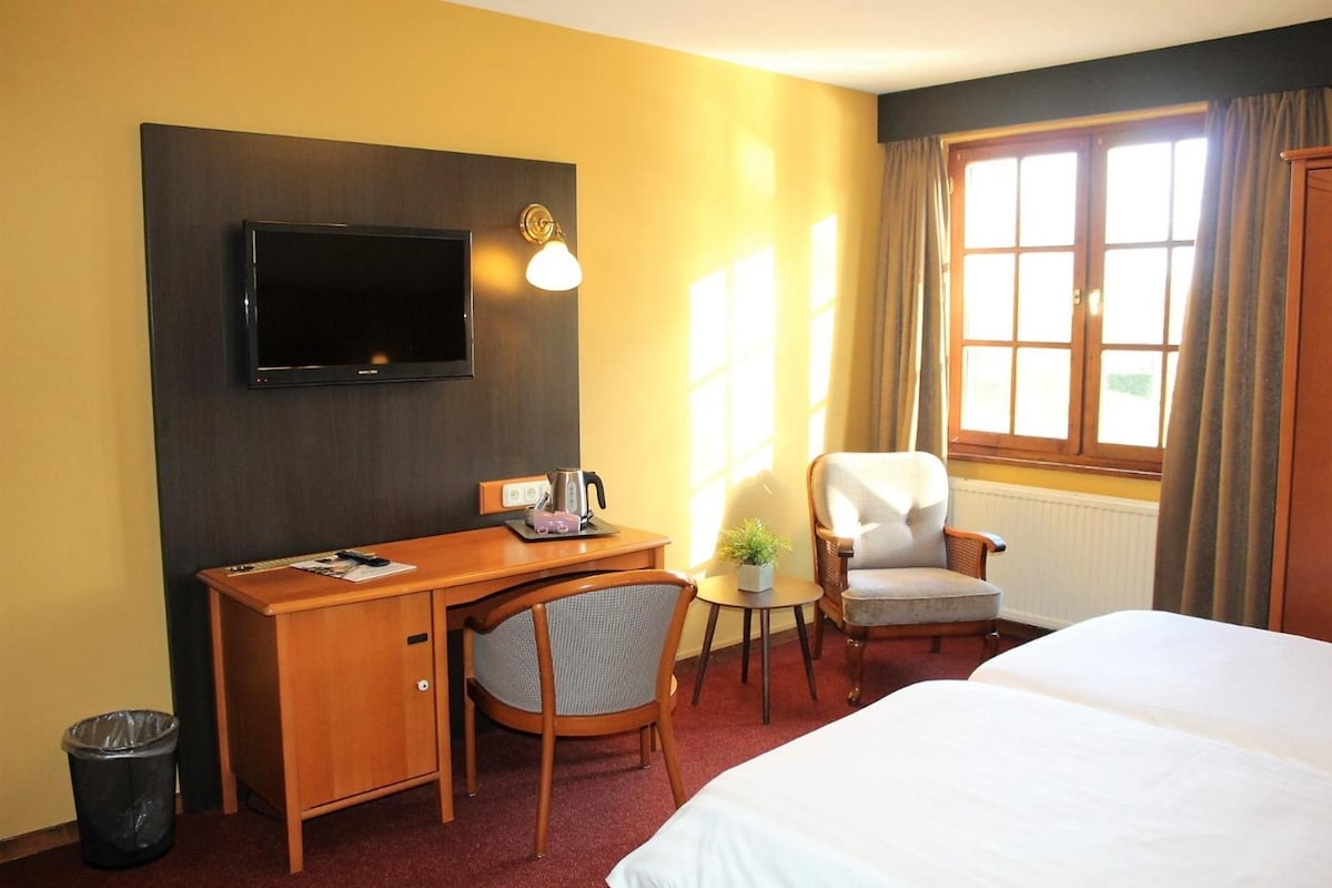 Une chambre d’hôtel comprenant un lit, un bureau avec une chaise, une télévision, une petite table avec une plante et une fenêtre avec des rideaux.