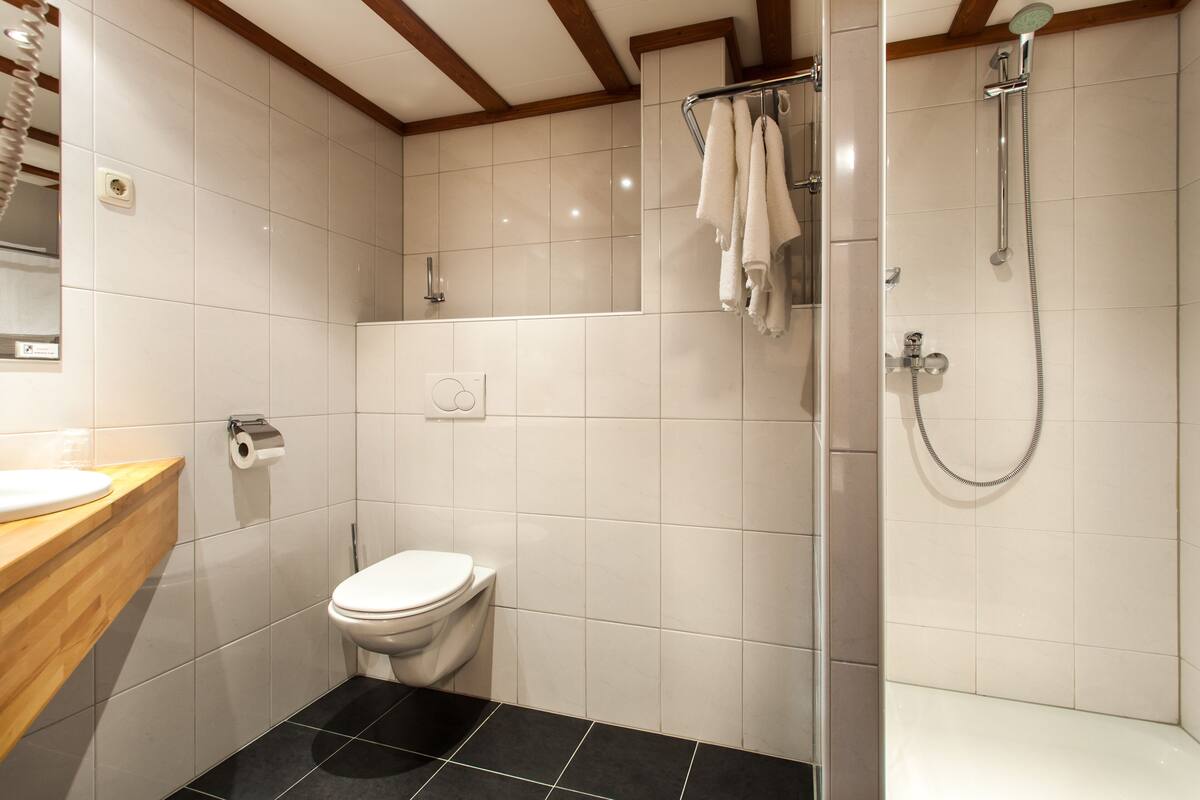 free toiletries, hair dryer, towels