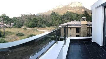 Standard Single Room, 1 Twin Bed | Terrace/patio