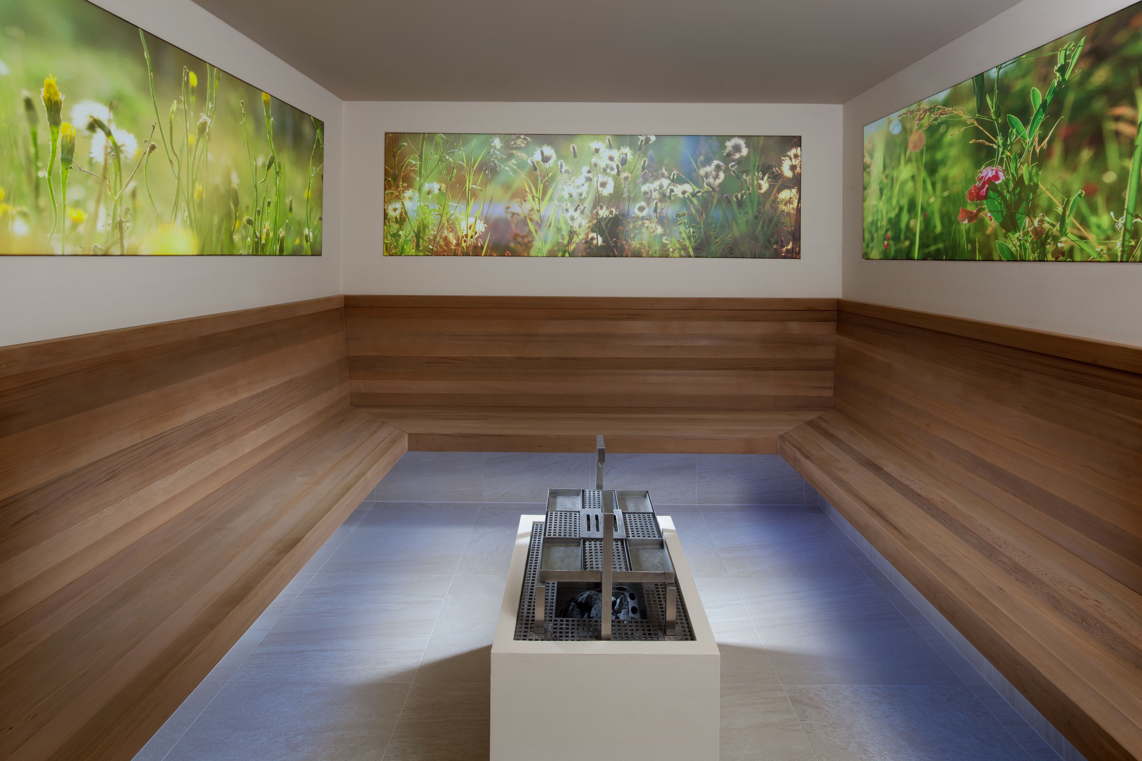 sauna, steam room, hot springs/mineral springs, body treatments