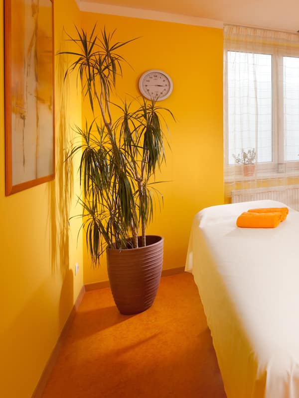 Sauna, steam room, hot springs/mineral springs, body treatments