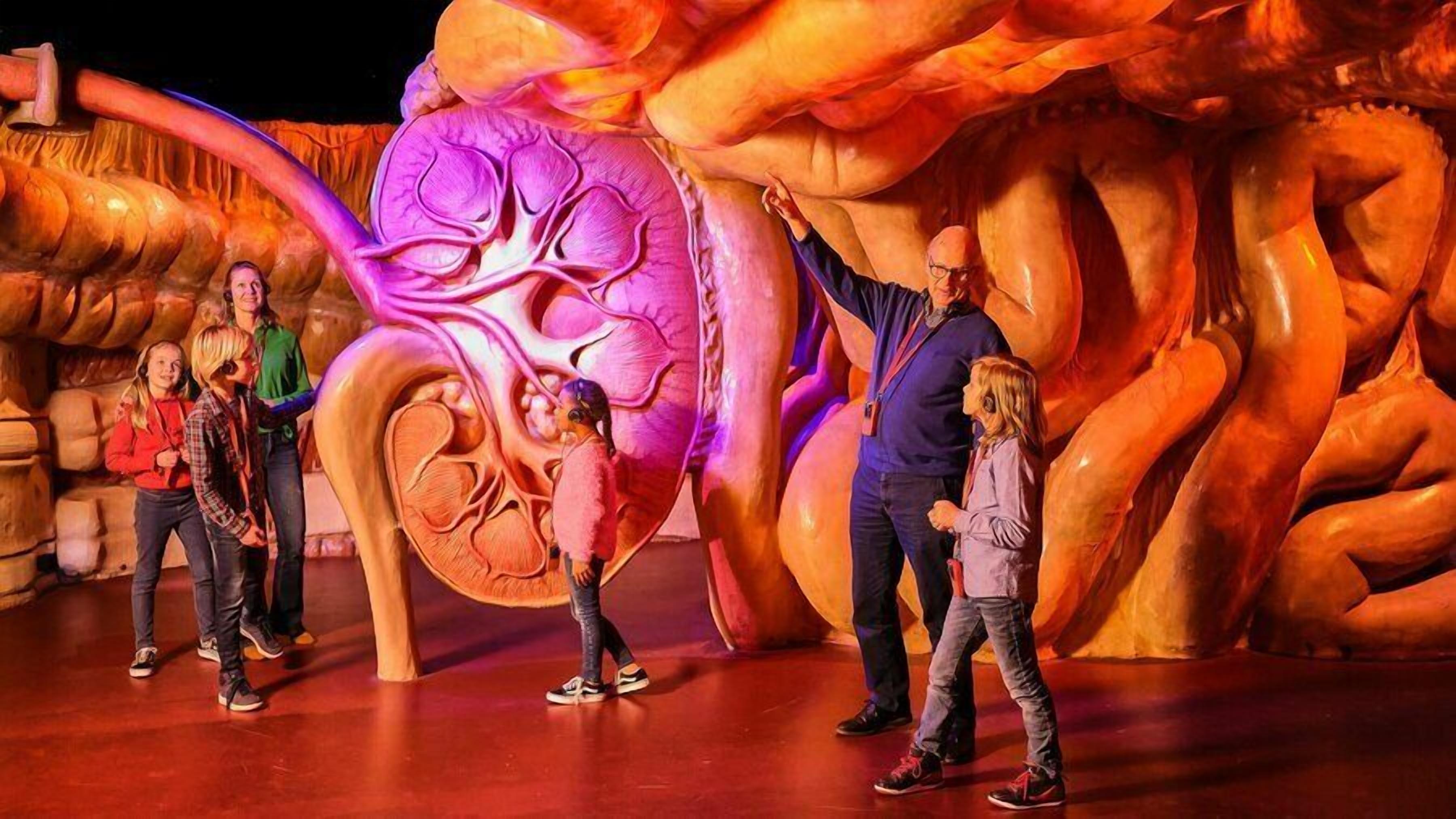 Photo - Heeren van Noortwyck