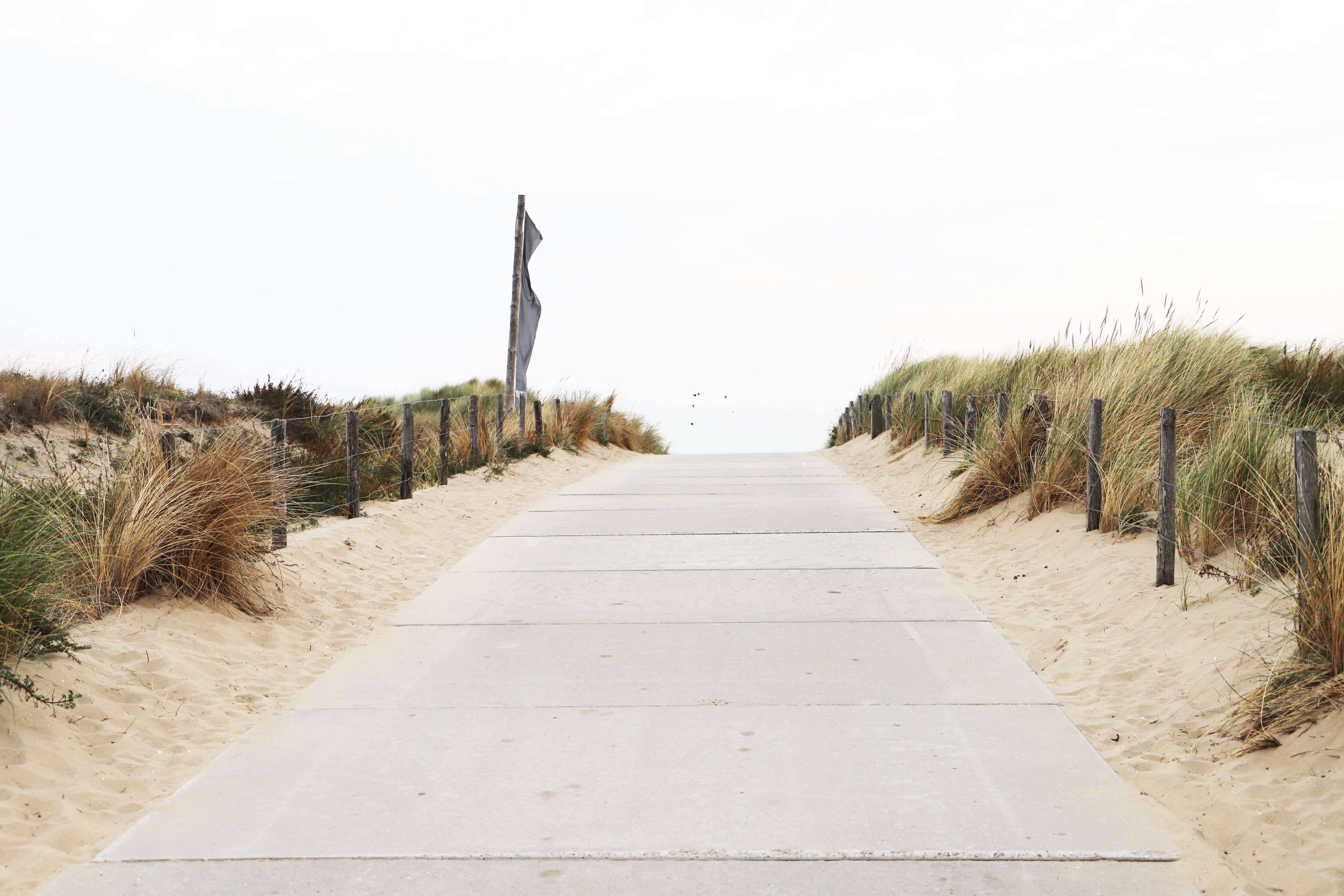 Photo - Heeren van Noortwyck