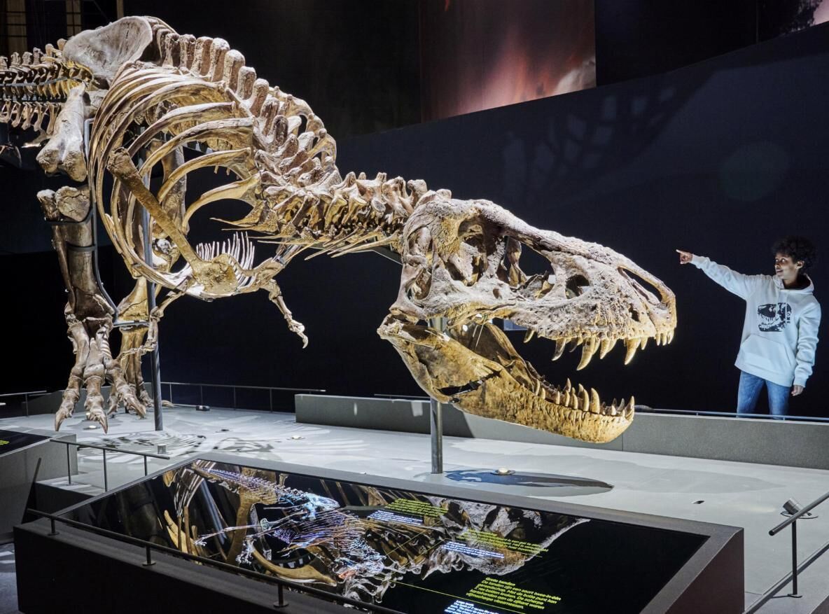 Photo - Heeren van Noortwyck