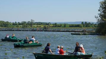 A group of people in green rowboats on a calm lake with lily pads, surrounded by greenery and a clear sky.