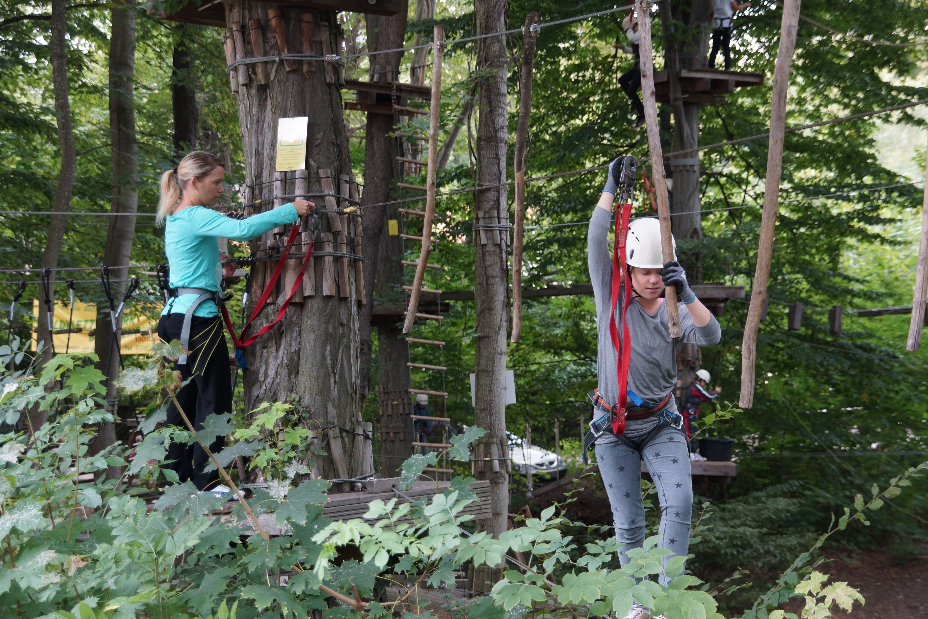 Une cabane perchée dans un arbre, avec une structure en poutres de bois et des cordes, entourée de verdure.