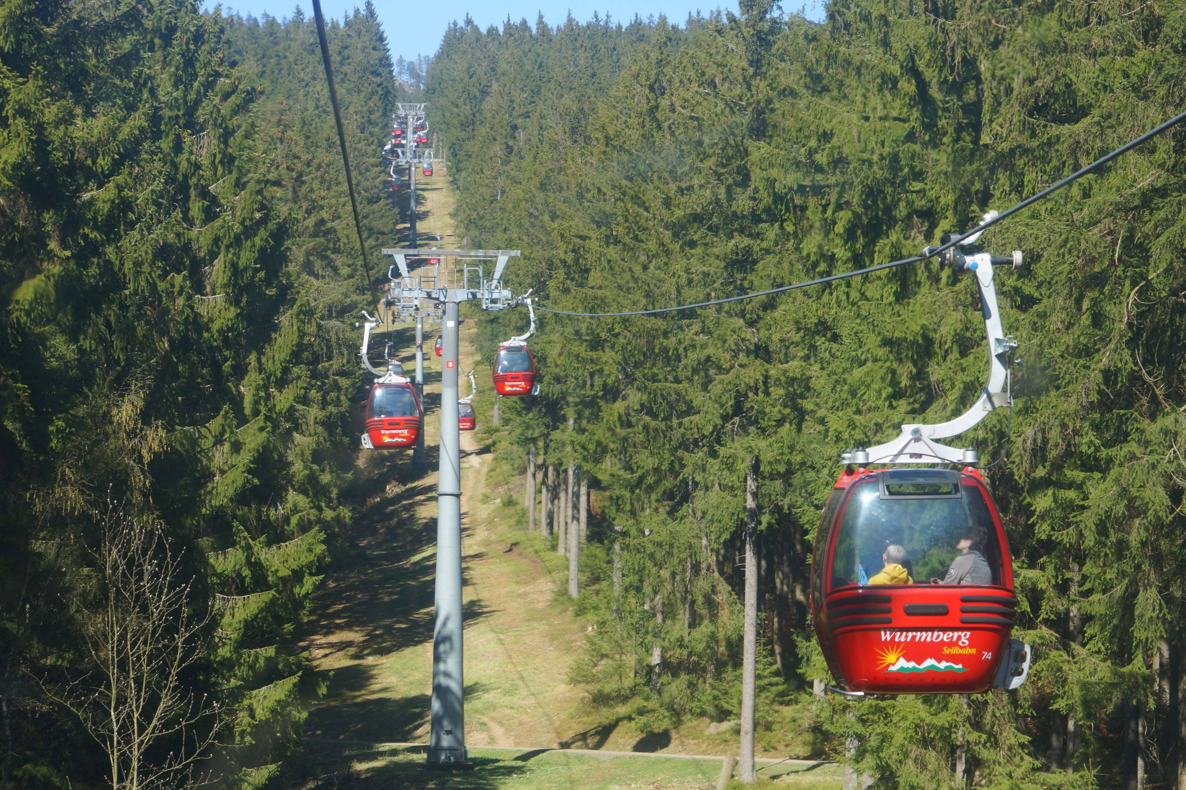 A cable car system with passengers, surrounded by dense forest.
