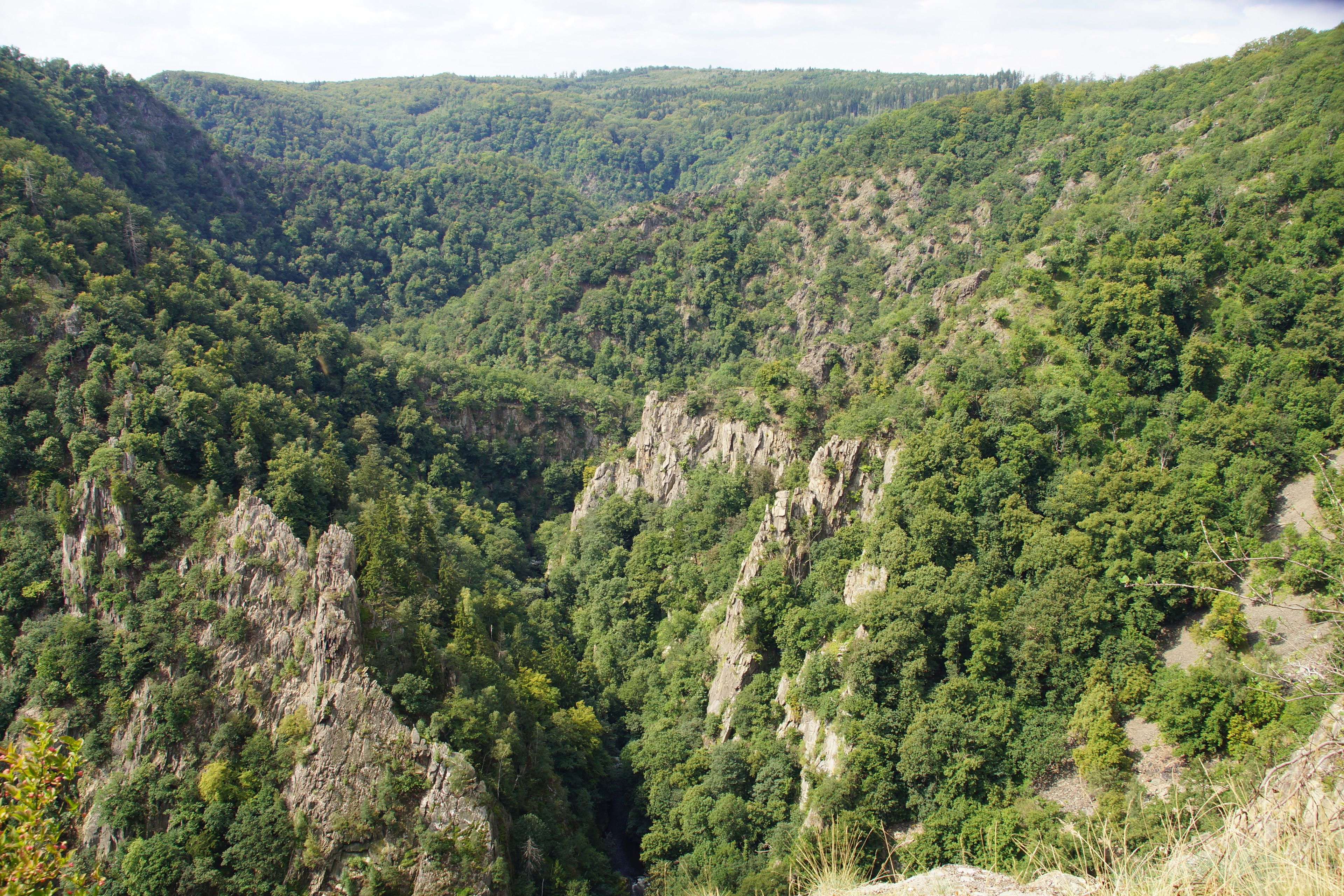 Eine gebirgige Landschaft mit dichtem Wald und steilen Felswänden.