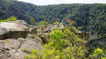 Un pont suspendu enjambant une vallée, avec une montagne boisée en arrière-plan.