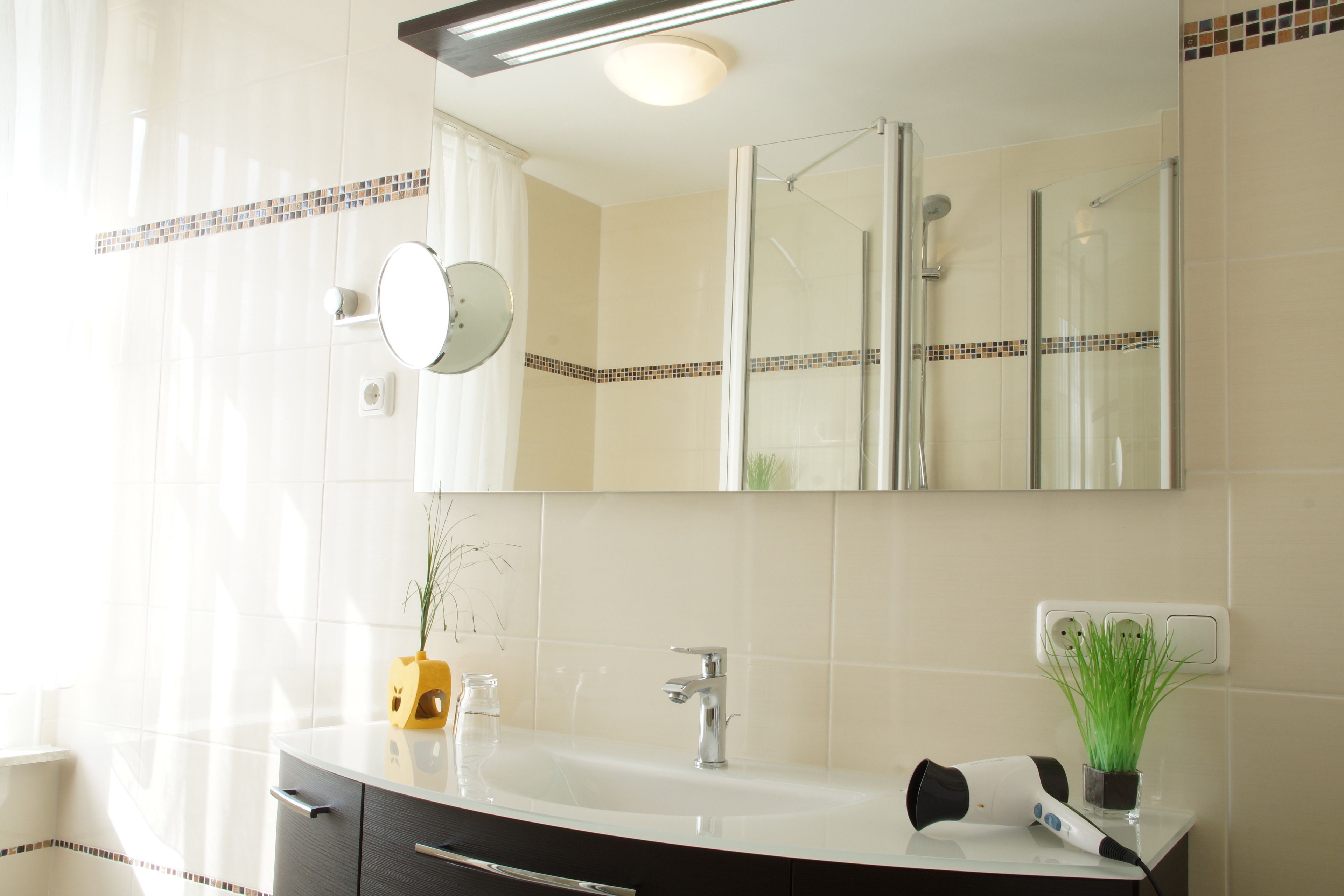 A bathroom with a white sink, a mirror, a glass shower enclosure, and a potted plant.