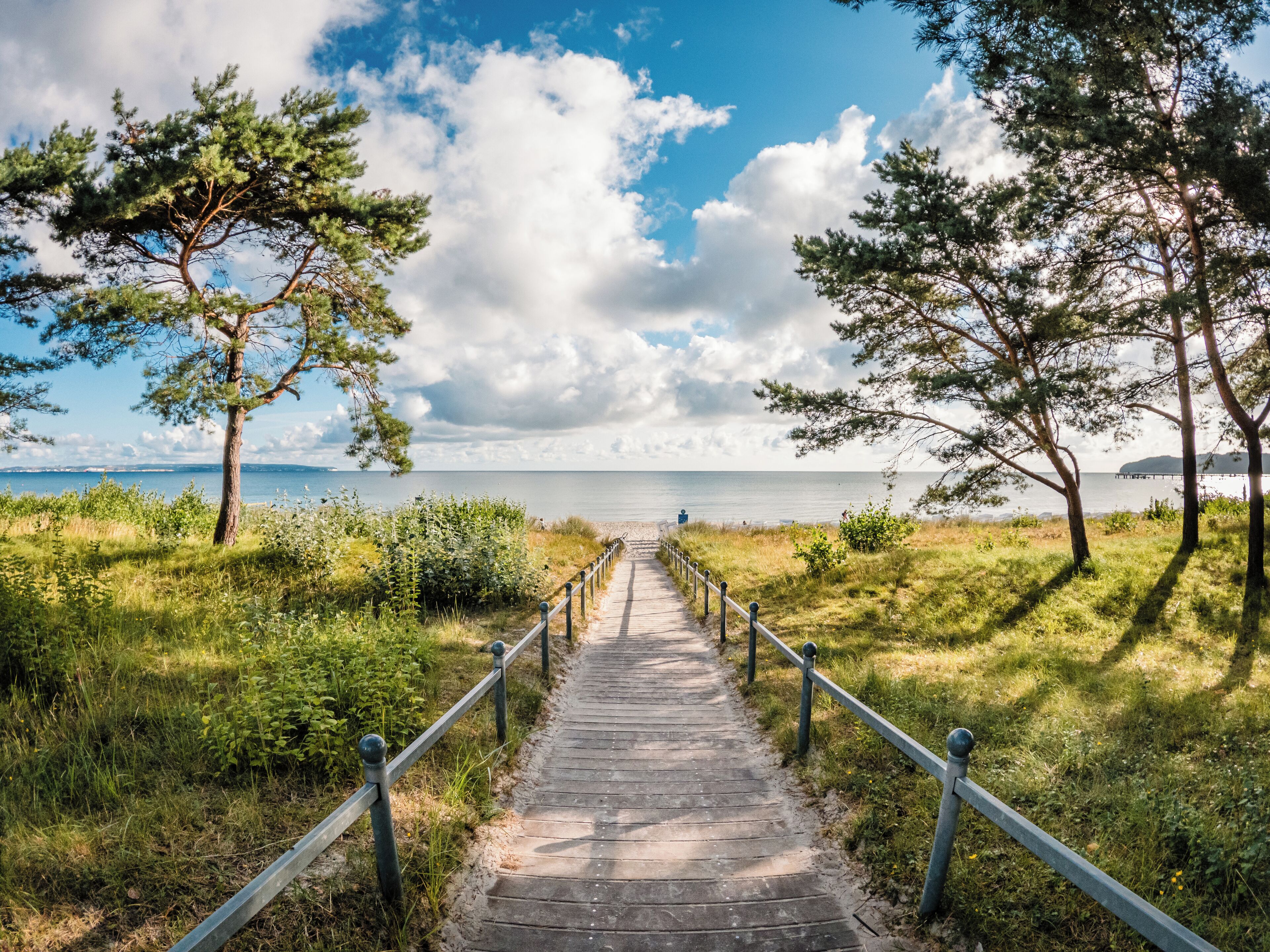 En træsti der fører til en strand, med gelænder, omgivet af græs og træer.