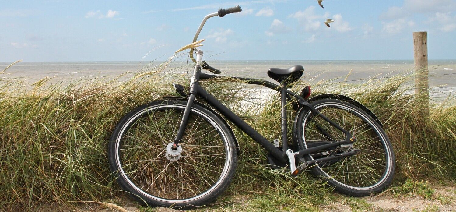 A bicycle parked on a grassy area with a beach in the background.