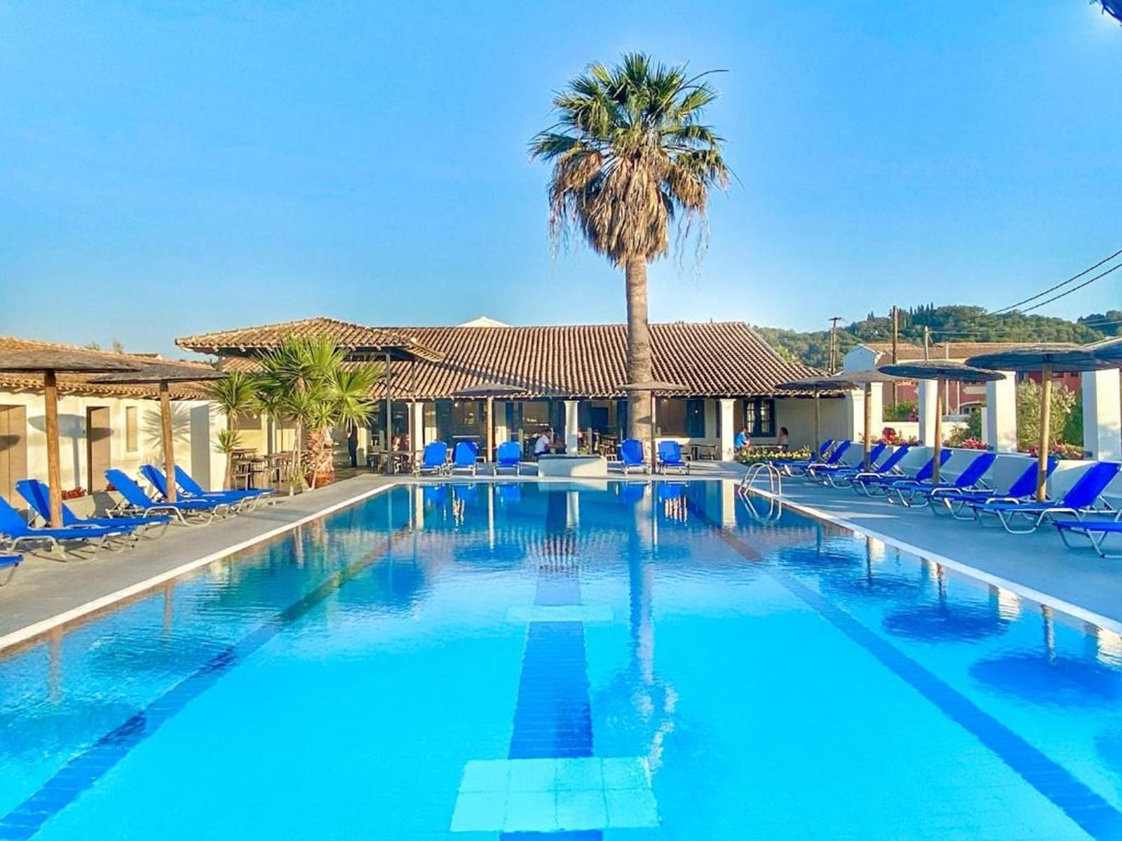 Una piscina con sillas reclinables azules, una palmera y un edificio con techo de tejas.