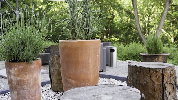 Een tuin met potplanten en houten planters.