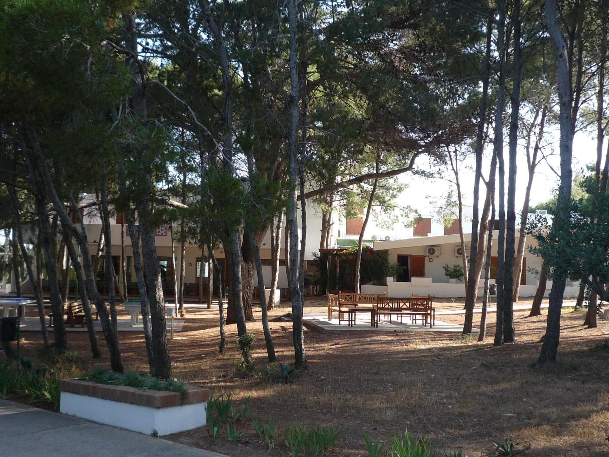 A courtyard with a wooden bench and a table, surrounded by trees and a building with a white facade and red accents.