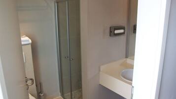 A bathroom with a glass shower enclosure, a toilet, and a sink with a mirror.