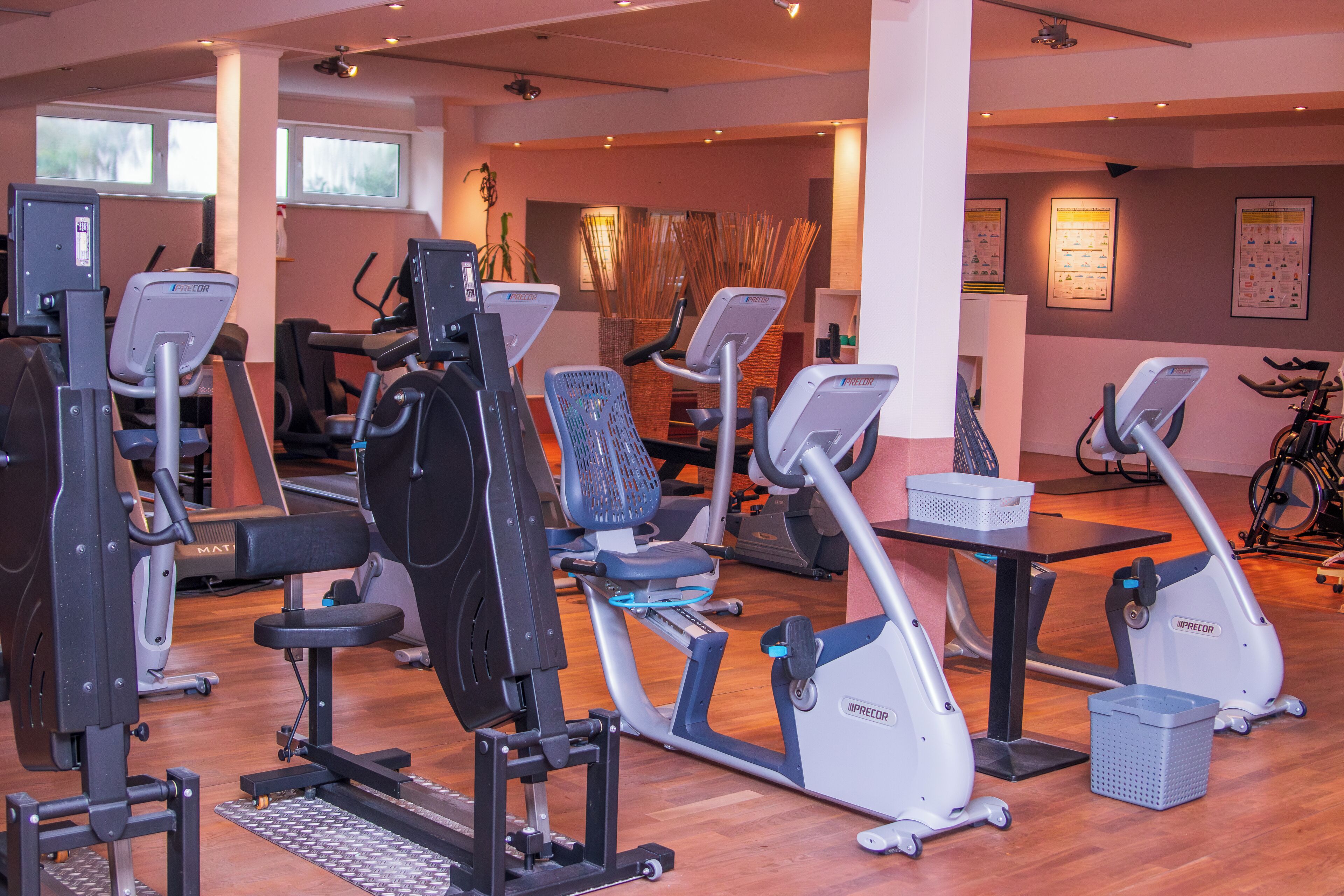 Une salle de sport équipée de divers appareils d’exercice, dotée d’un plancher en bois et de grandes fenêtres.