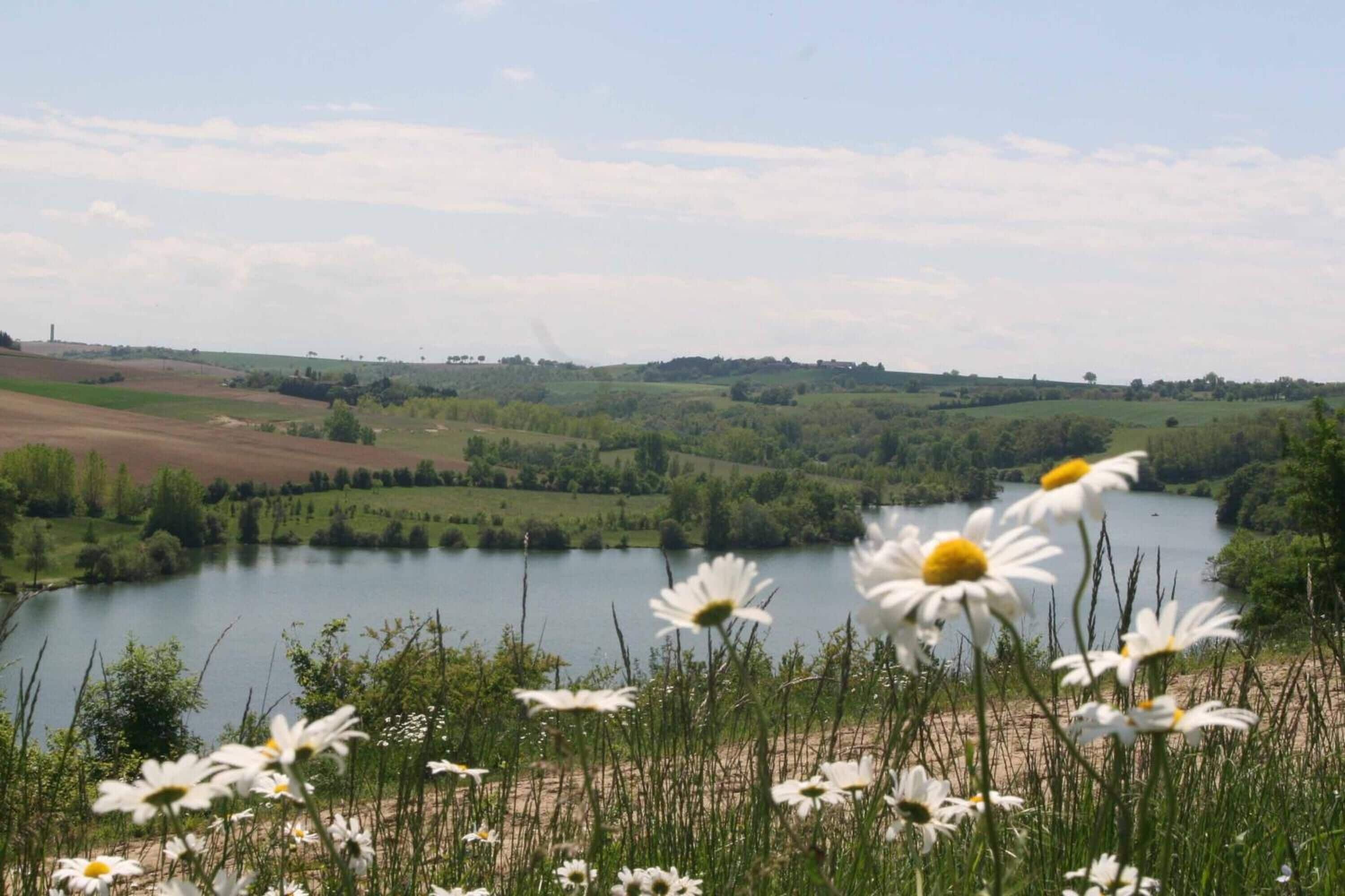 Un lac entouré de champs et de collines.