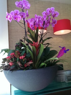 Una olla grande de color oscuro llena de orquídeas moradas y otras plantas verdes, sobre una mesa de cristal con una lámpara roja al fondo.