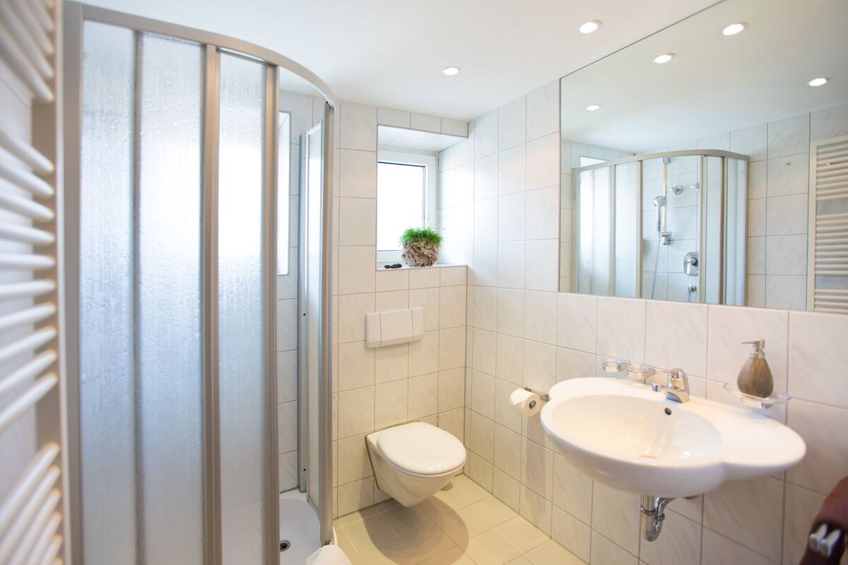 shower, free toiletries, hair dryer, towels