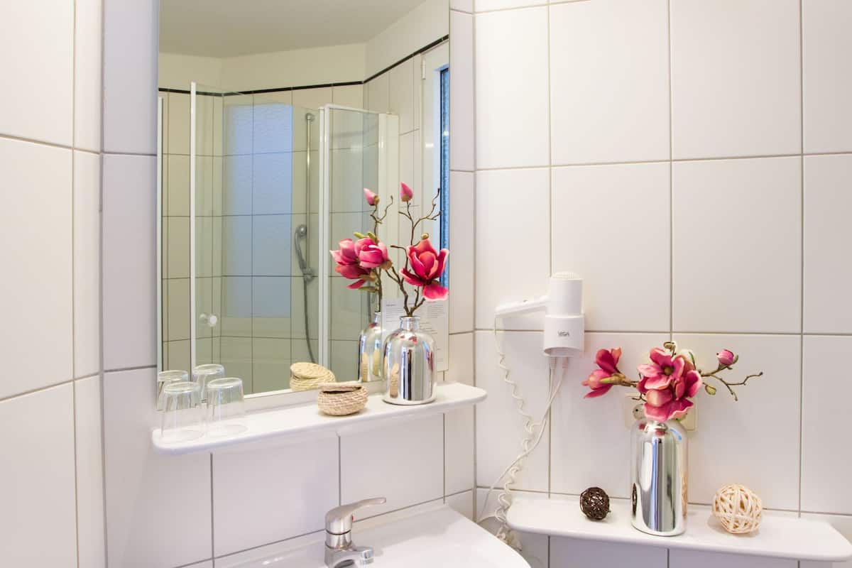 shower, free toiletries, hair dryer, towels