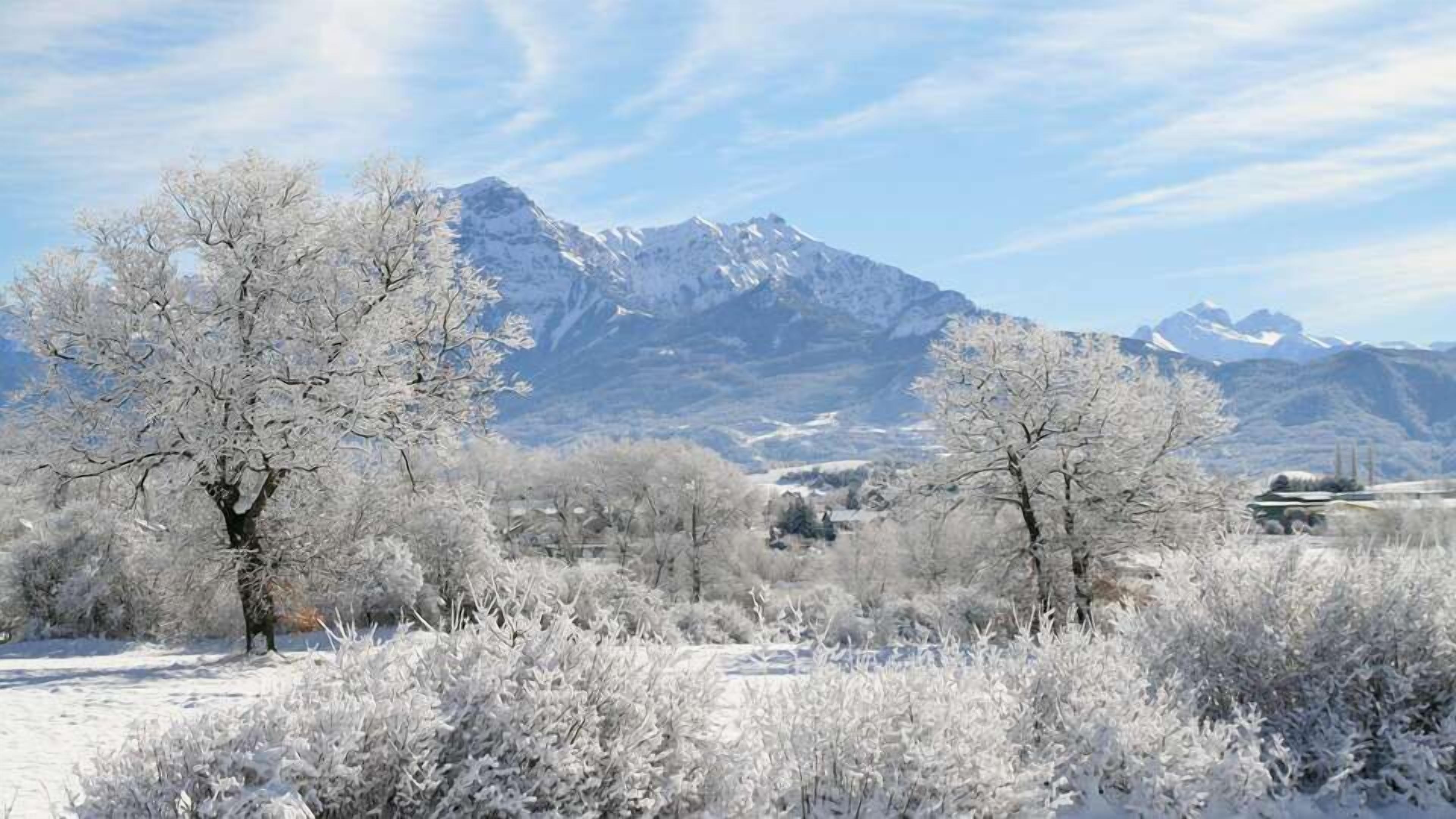 Un paisaje nevado con montañas al fondo y árboles sin hojas en primer plano.