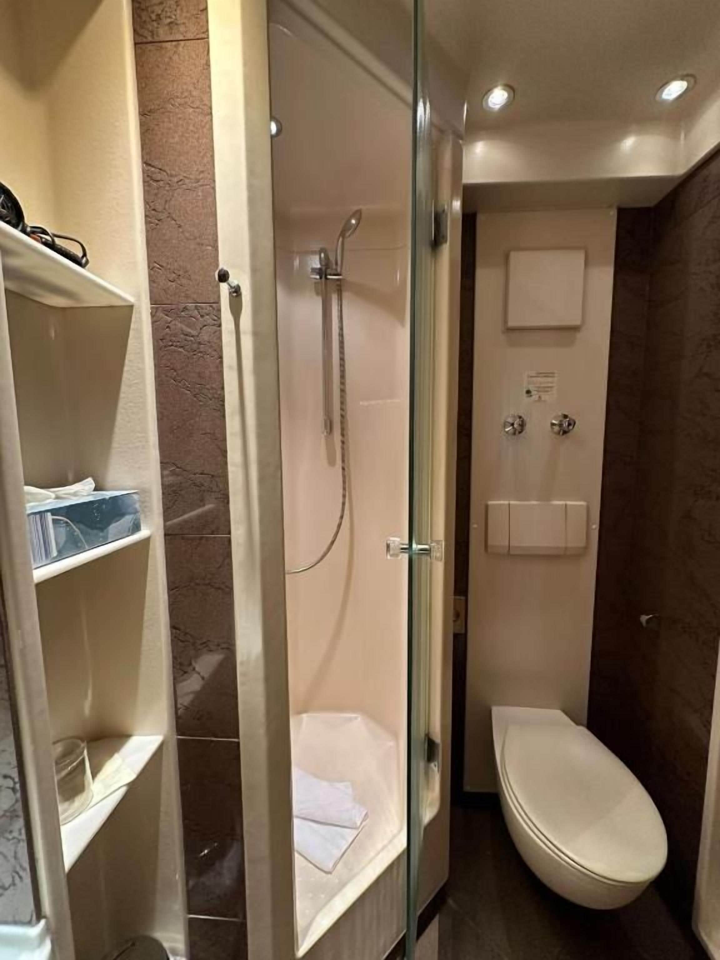 A bathroom with a glass-enclosed shower, a toilet, and a shelf with toiletries.