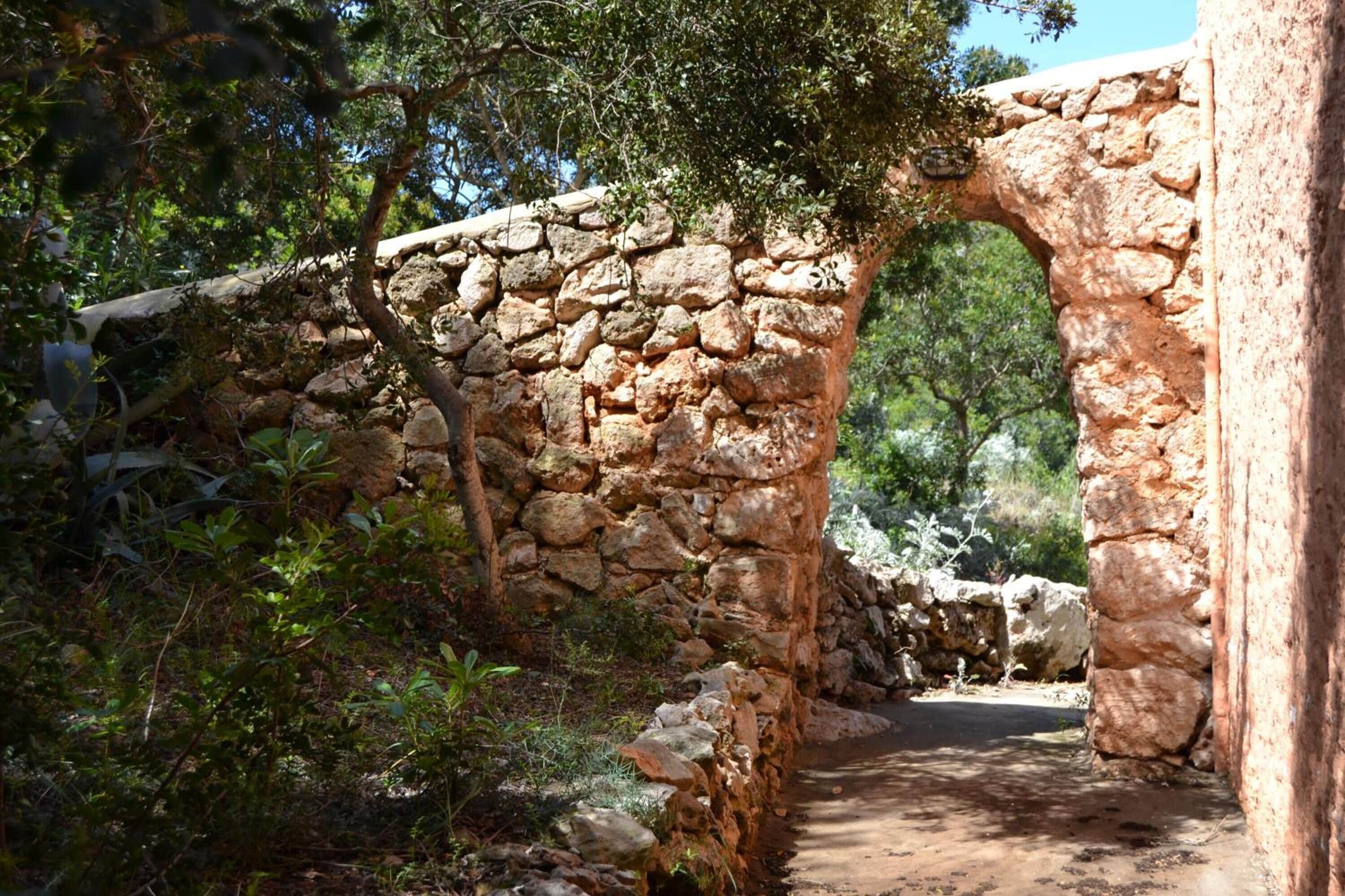 Photo - Hotel Xaloc Playa