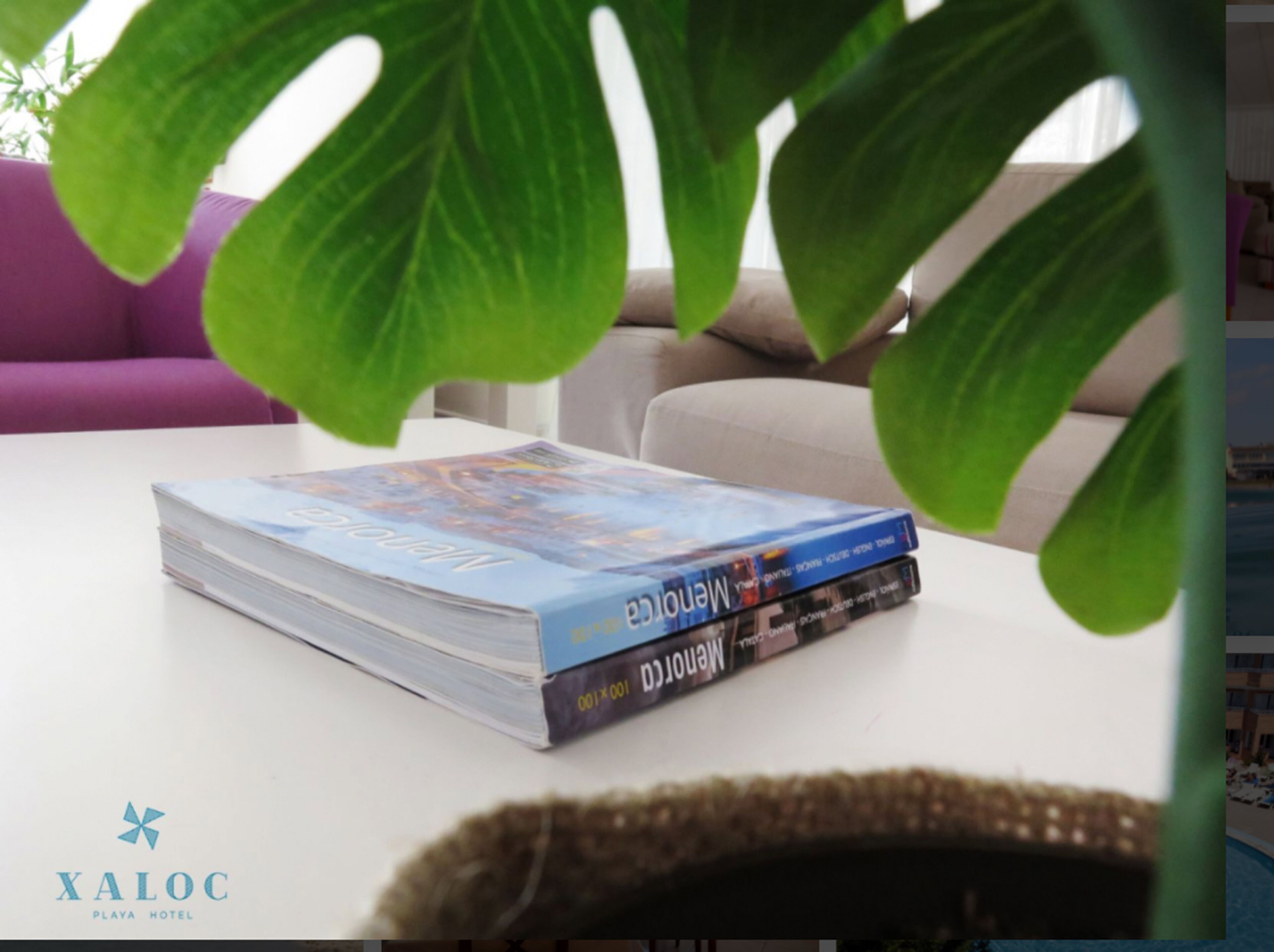 Photo - Hotel Xaloc Playa