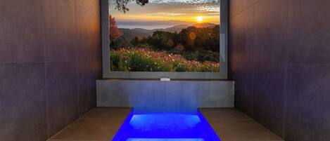 Sauna, tina de hidromasaje y baño de vapor