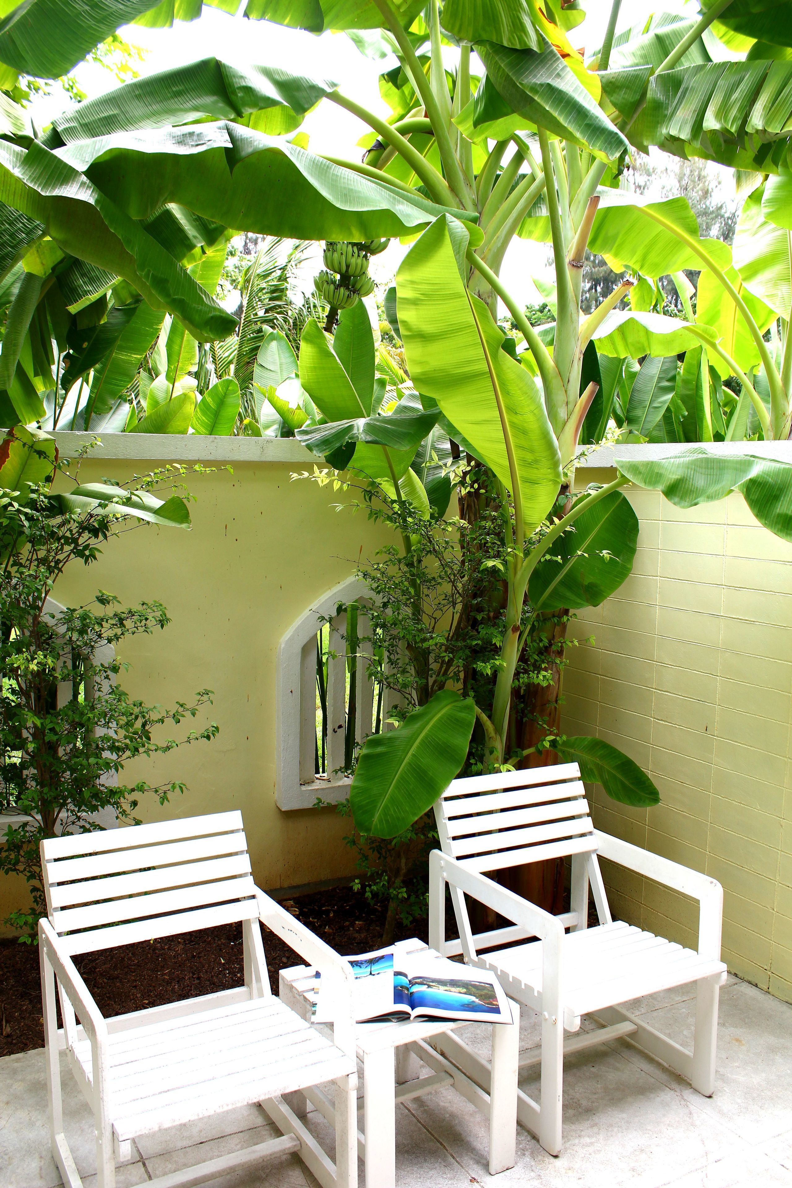 Vista desde la habitación