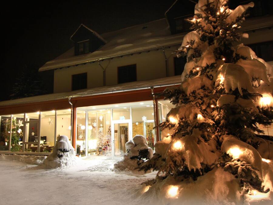 Fachada del alojamiento - Noche