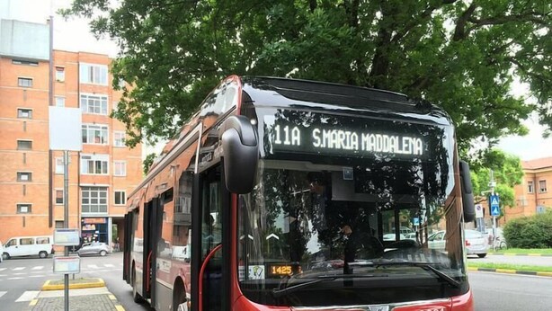 Un autobús híbrido MAN Lion City T>per 2661 con destino a 11A SMÓRTA MADDALENA, estacionado en una calle de la ciudad.