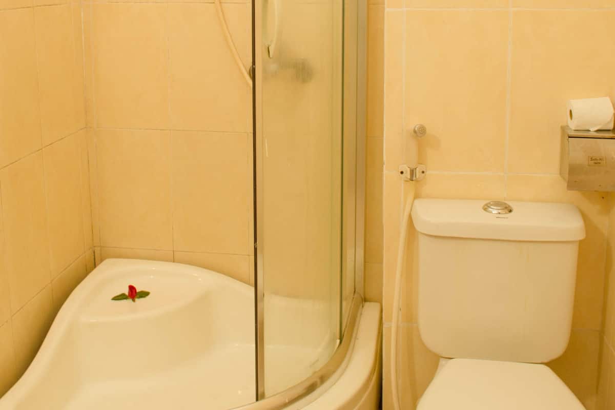Bañera con ducha, artículos de tocador gratuitos, secador de pelo
