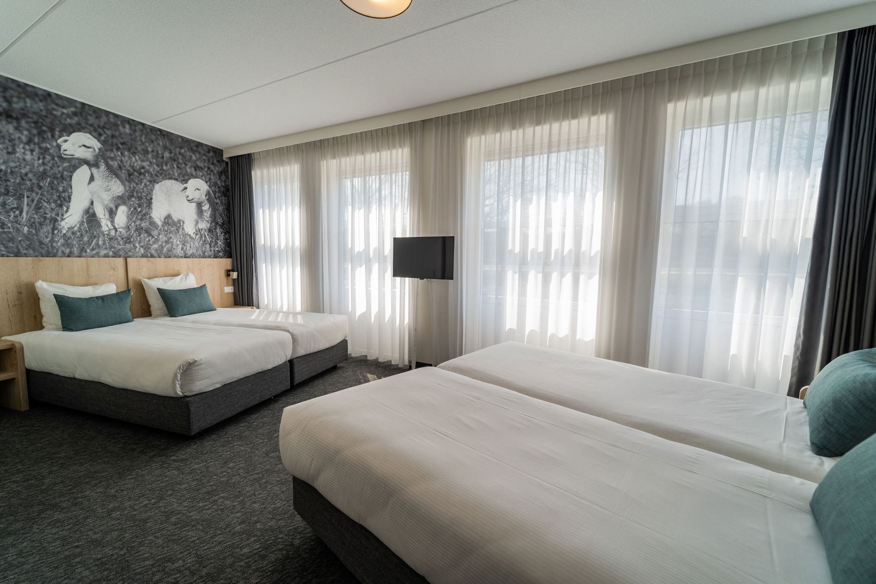 In-room safe, desk, blackout curtains, iron/ironing board