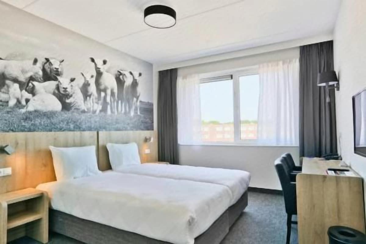 A hotel room with a bed, a desk, a chair, a TV, and a window with curtains.